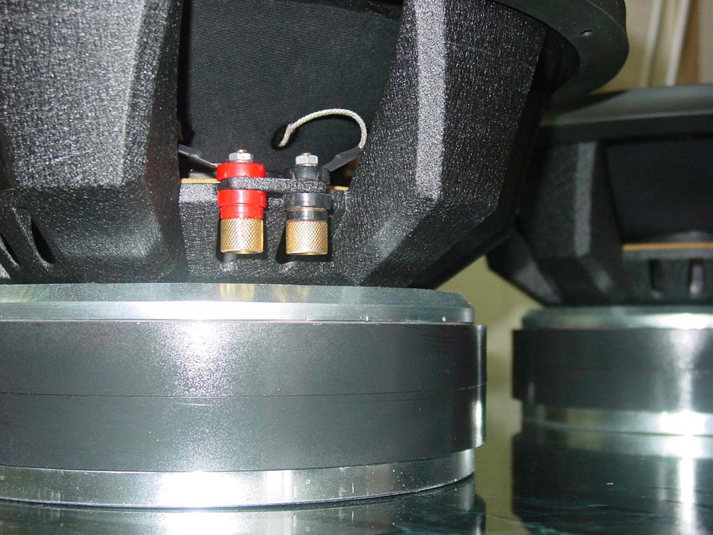 arx12_227_1761353586.jpg