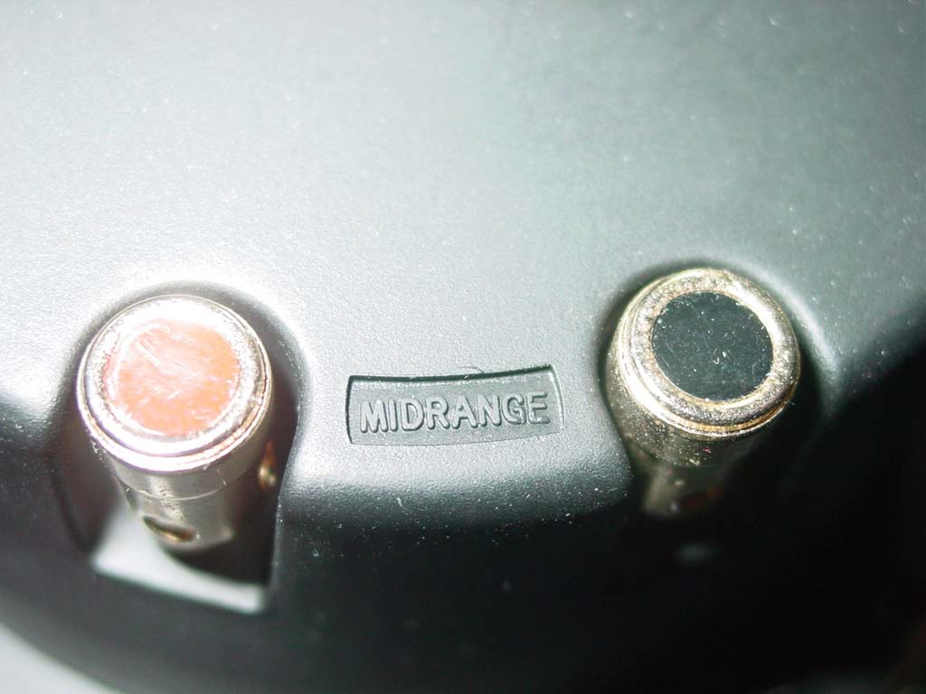 스완 S1 2WAY Coaxial Mid-tweeter 신품