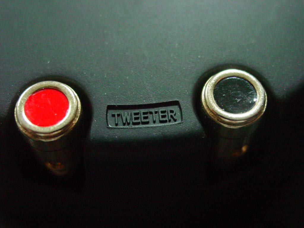 스완 S1 2WAY Coaxial Mid-tweeter 신품